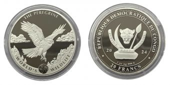 Конго 20 Франков 2024 Сапсан